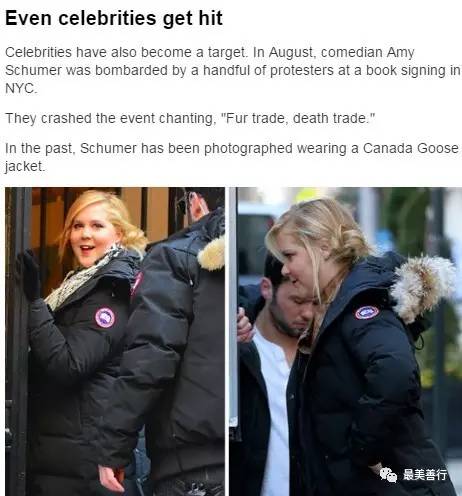 明星加拿大鹅,明星加拿大鹅穿搭