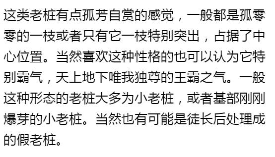 秀肉肉｜多肉老桩的5大形态，每一个我都爱！