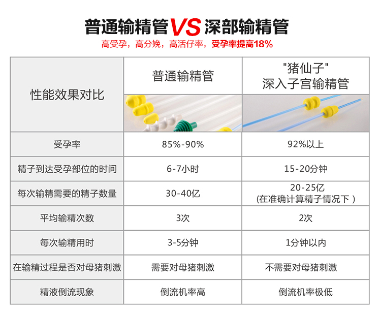 猪人工授精插管大概多少厘米,猪人工授精可输入不同的精子吗