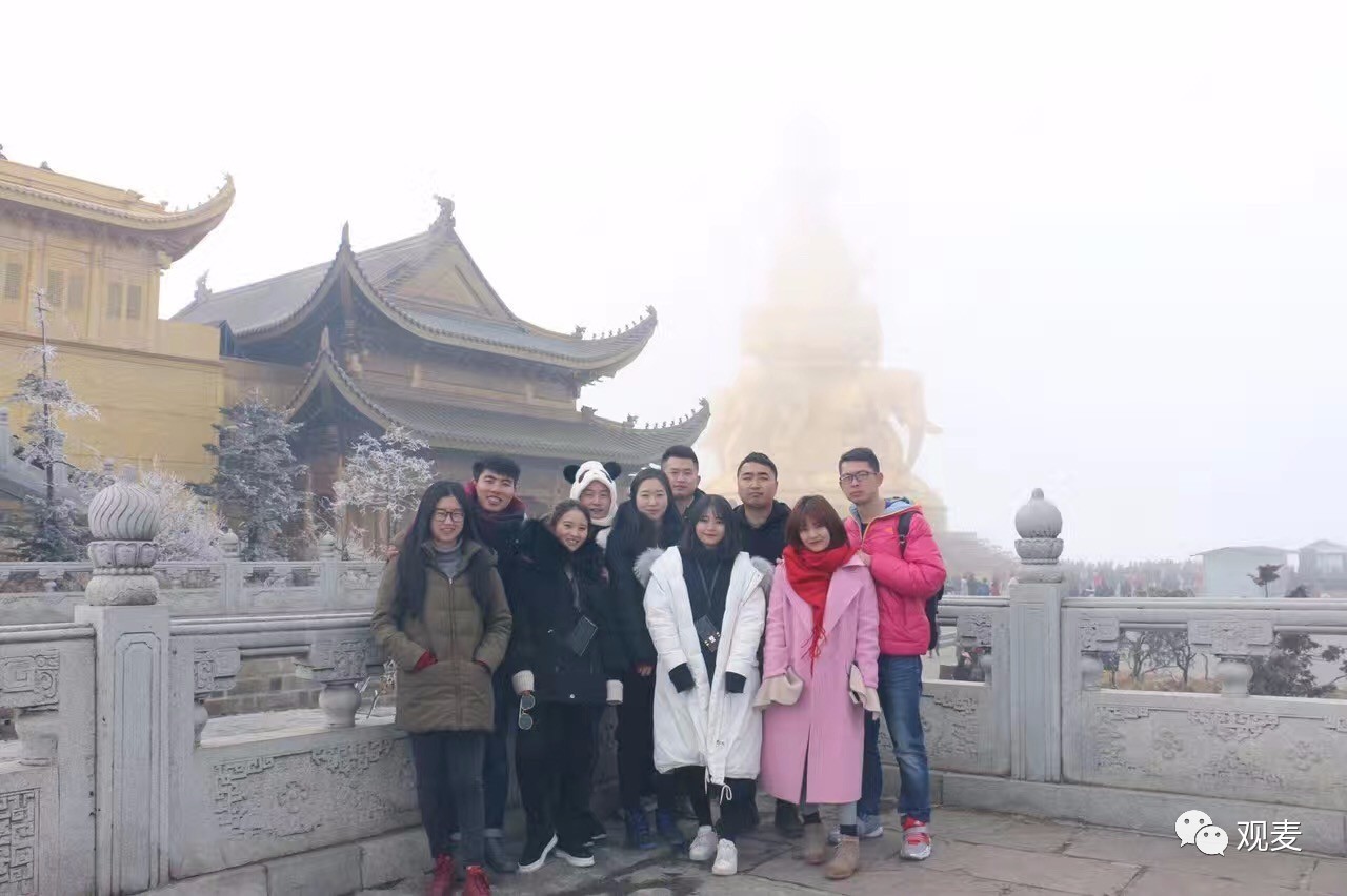 成都菜头帮网络科技有限公司,成都菜头帮