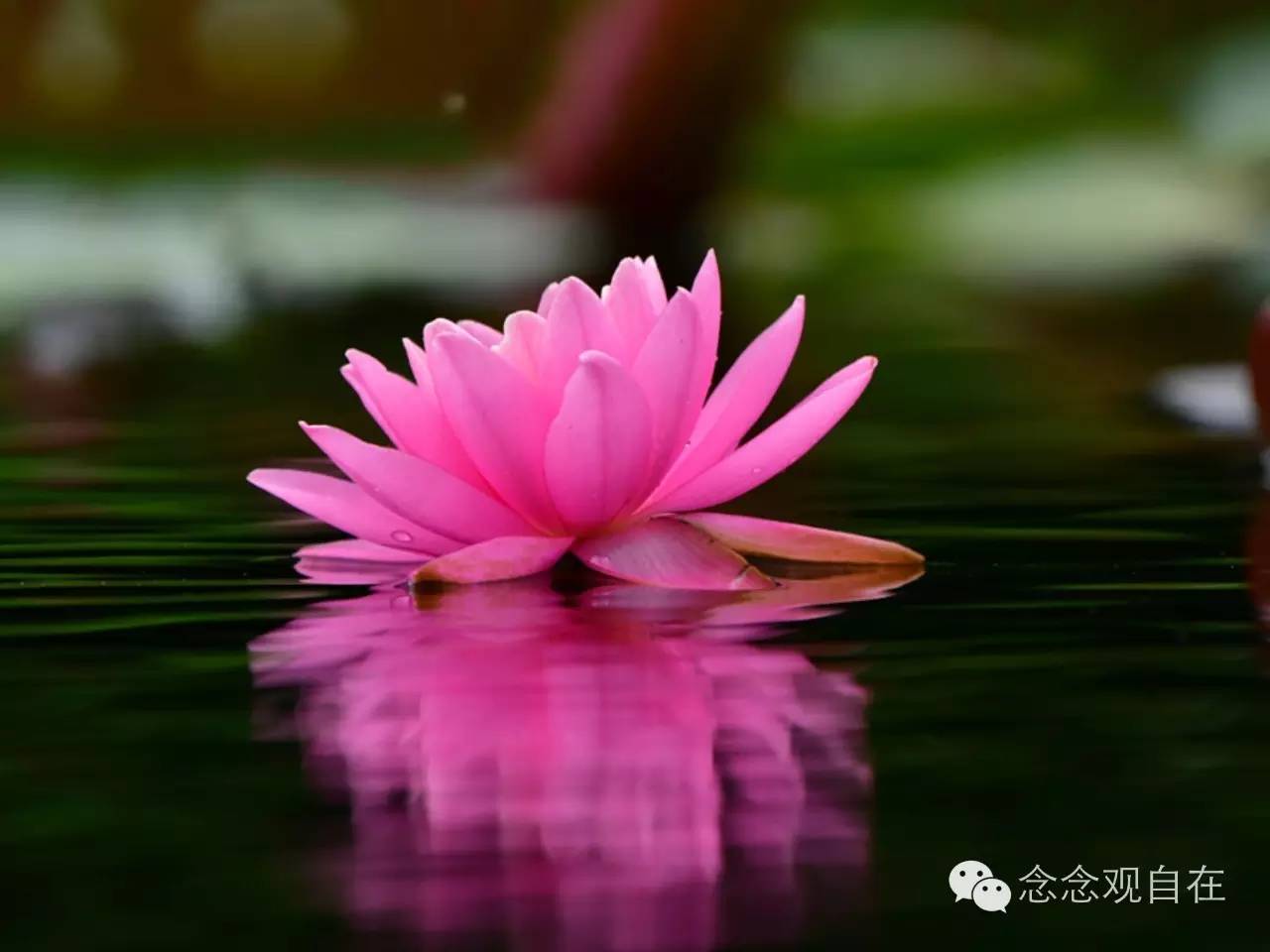 关于学士服你不知道的事,僧衣修订版