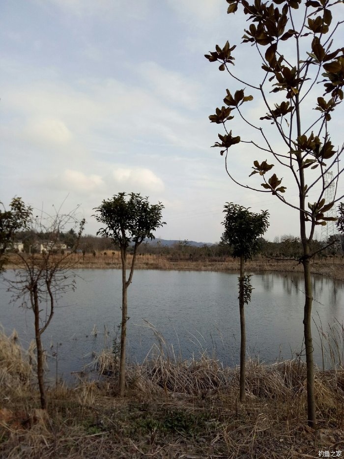 青山荒野垂钓,青山野钓哪里最好玩
