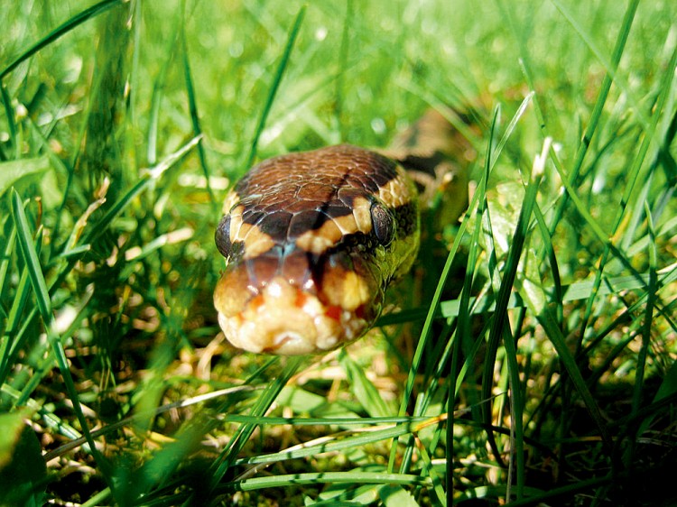 西双版纳从下飞机开始的攻略,进入西双版纳的视频