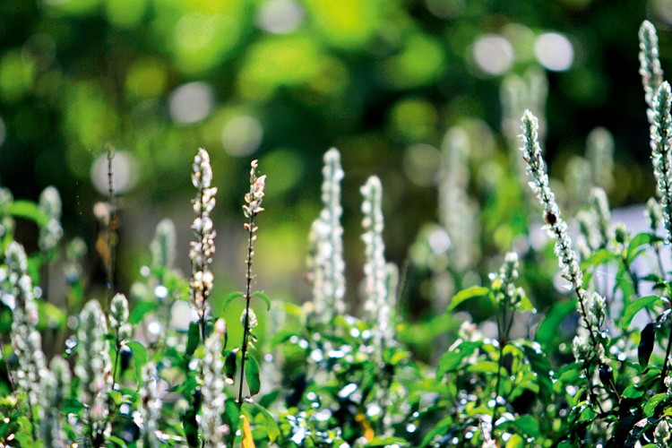 西双版纳从下飞机开始的攻略,进入西双版纳的视频