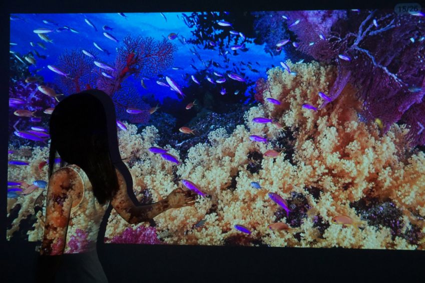 閰蜂箰瑙唓6s3s4鎶曞奖,閰蜂箰瑙唖3鎶曞奖