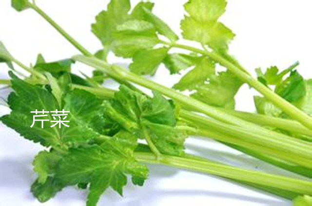 过年解油腻的菜,快过年了吃点什么好