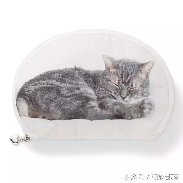 猫控营养补充剂,猫控