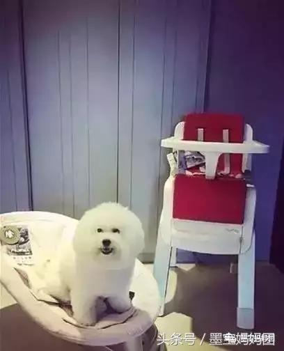 待产包明星推荐,妈妈待产包最好的牌子