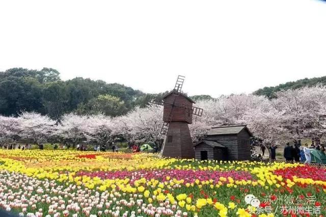 苏州会变成空城吗,中国苏州城市现状
