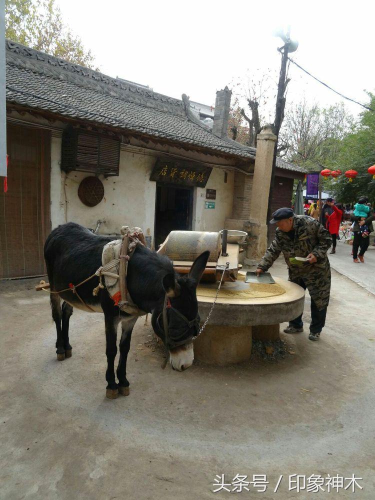 陕北俊俏女子勇闯袁家村大嘴吃四方