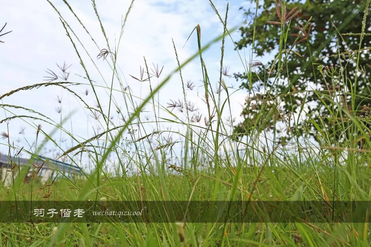 印尼美娜多旅游,印尼美娜多跟团游