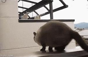 帅哥，怎么样，舒服吧