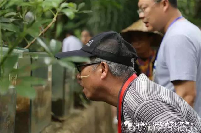 鸡年第一个流行语横空出世,鸡年第一个流行话