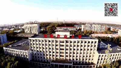 沈阳的未来会发展成什么样,沈阳发展变化