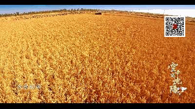 沈阳的未来会发展成什么样,沈阳发展变化