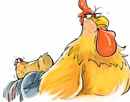 那只小母鸡，你收敛点！是你本命年也不能太过分！