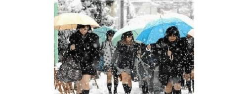 日本袜子来源,日本丝袜为什么那么贵