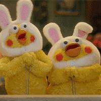 新西兰负鼠与蛇,新西兰负鼠是什么