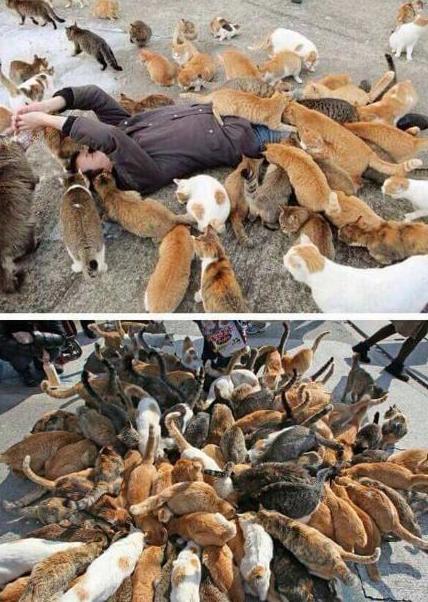 为什么拉黑别人还能看到他的视频,真正拉黑一个人的后果很严重