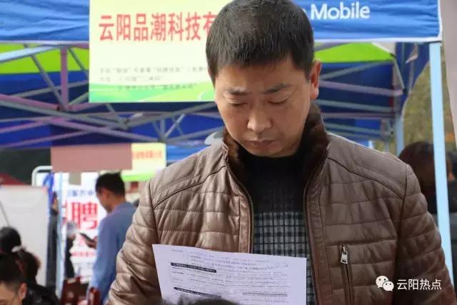 云阳公益性岗位招聘,云阳县2024年人才引进