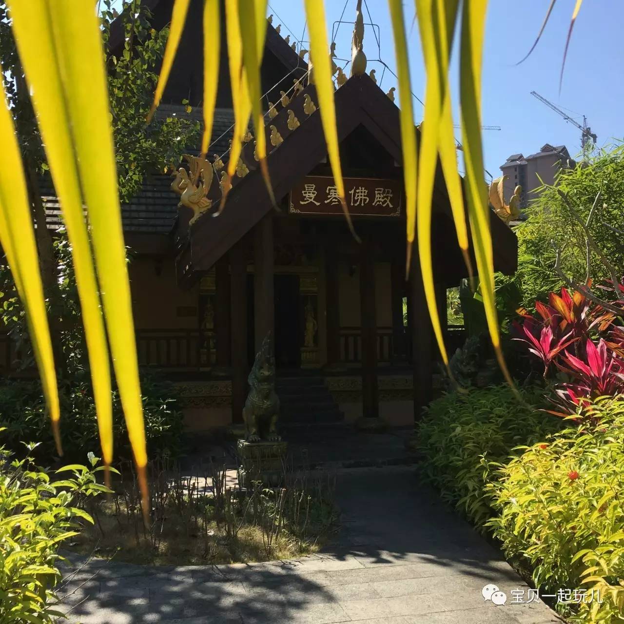 老娘的青春那么短，花点钱开心又何妨