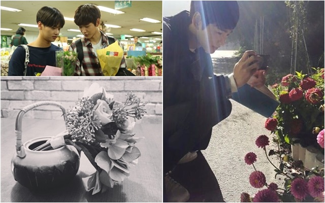 韩国明星们日常生活,韩国明星的生活日常