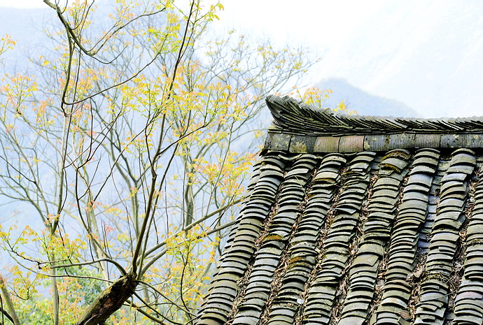 贵州原始古寨景点,贵州清静的古寨