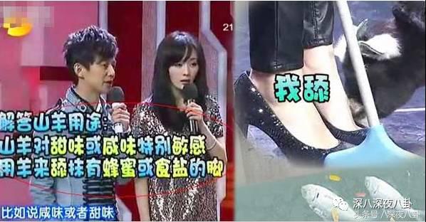 杨幂面对黑粉大气语录,杨幂自黑代表什么