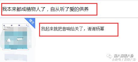杨幂面对黑粉大气语录,杨幂自黑代表什么
