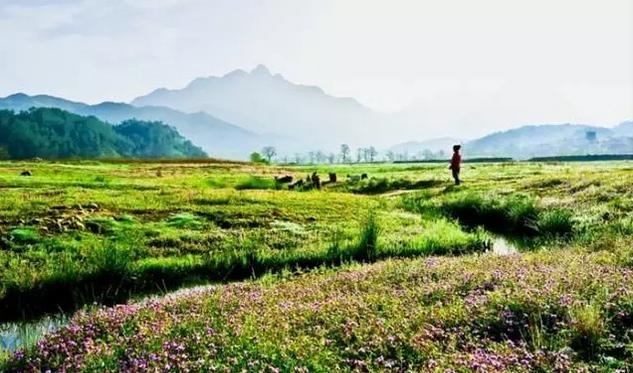 春风里，大爱罗田！