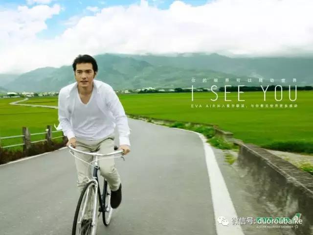 春节花市的鲜花,春节能看花的植物