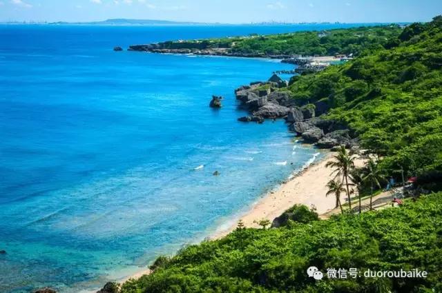 台湾寻肉之旅：小玲带你逛春节的台北花市！