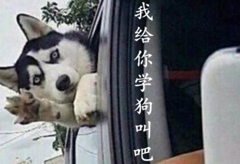 学狗叫套路怎么回答,我给你学狗叫吧原视频