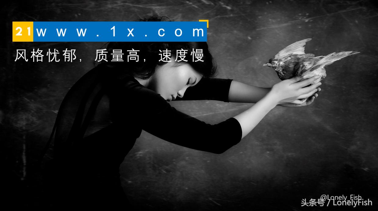 25个优质免费可商用图片素材网站,29个免费的图片编辑网站