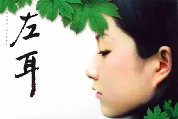 那些年看过的小说中的真相,小说藏着哪些不为人知的秘密