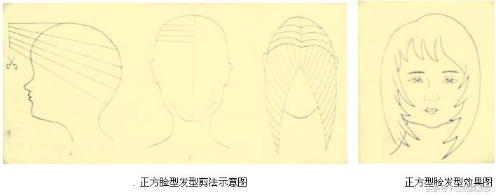 不同的脸型设计不同的发型,测一下自己脸型适合啥发型