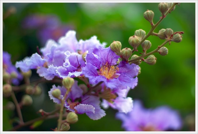 卡尔蔡司经典的50mmf1.4,卡尔蔡司镜片1.56和1.67