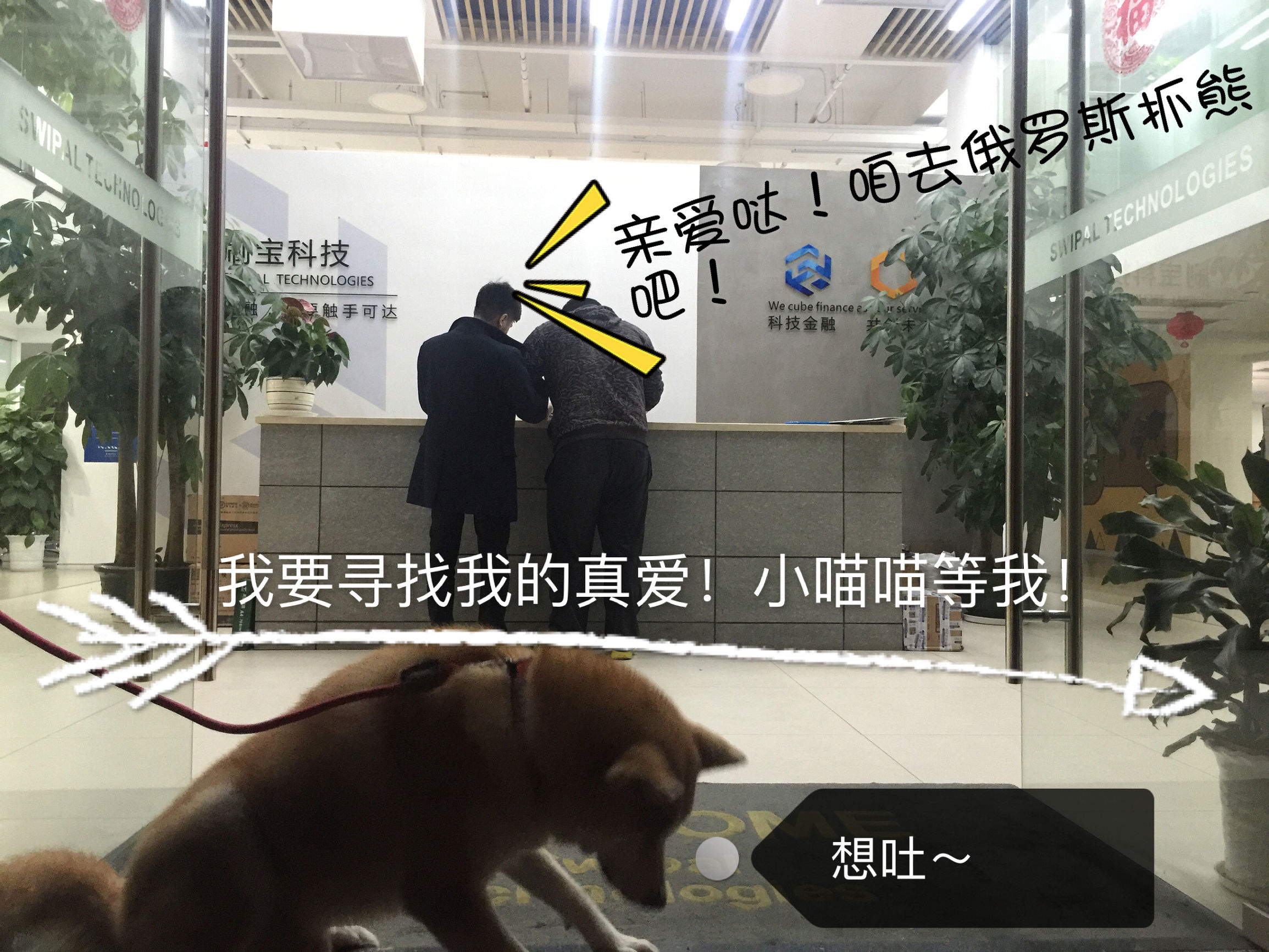 明天就是情人节了图文,明天就是情人节图片