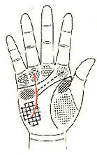 五观堂讲解手相,手相宝库第四讲