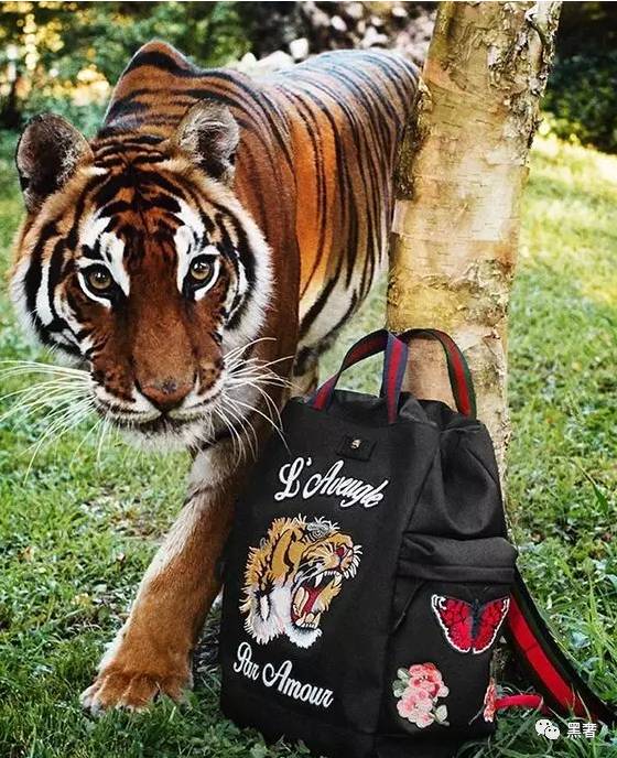 开学必备双肩包颜值高容量又大,马上就要开学了双肩包推荐