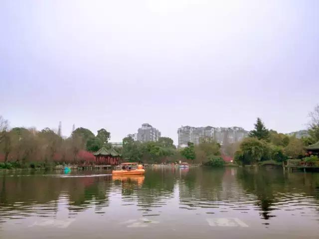 鑺辨捣閲嶇鏉ヨ,鑺辨捣鏉ヨ