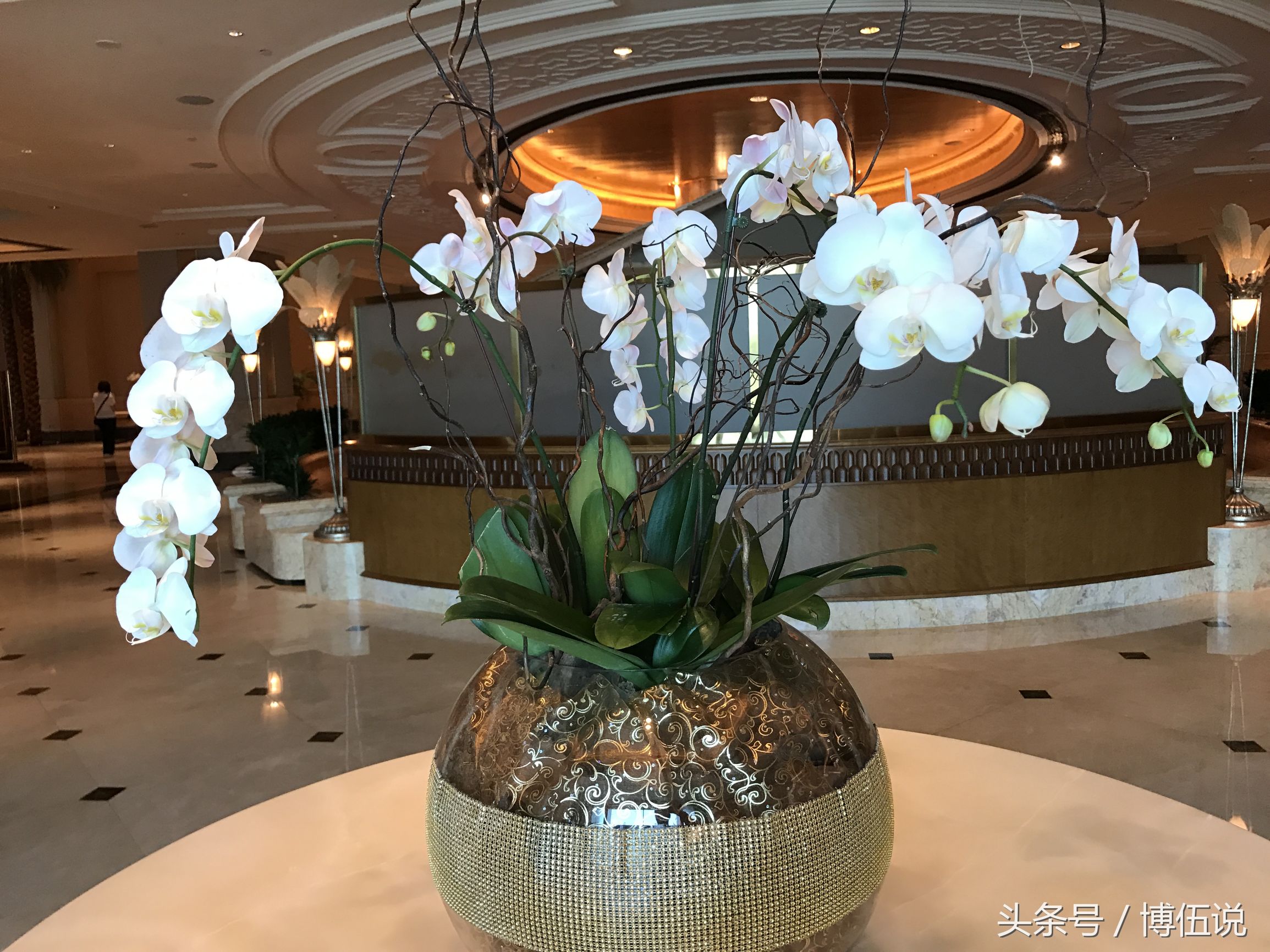 迪拜哪些你所不知道的事？