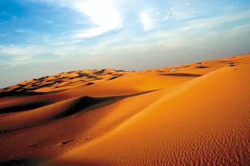 看完这部片，我只想赶快中个TOTO好不好！