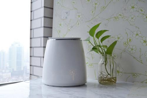 墙纸异味有害,墙纸有味道长时间不消散