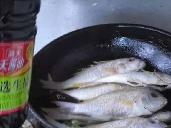 海边渔民怎么炖鱼,哪种海鱼炖鱼最好吃