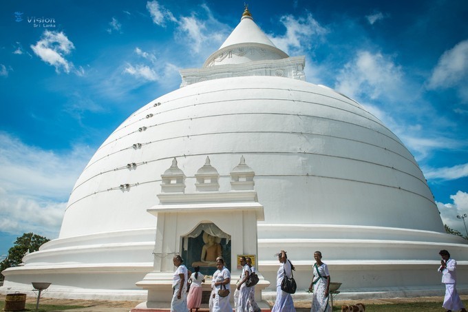 蓝色大海女人,蓝色大海和绿色大海