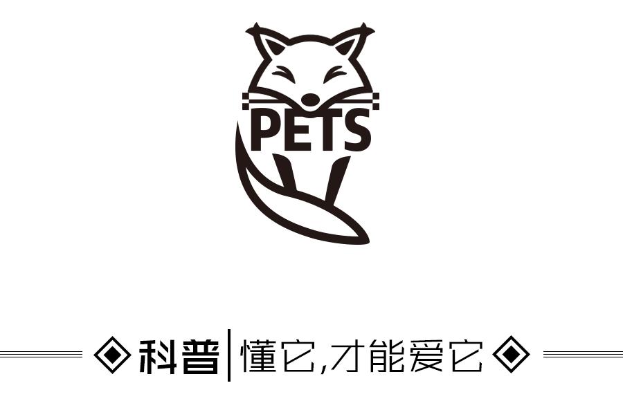 顽皮家族宠物医院怎么样,顽皮家族宠物医院属于什么组织