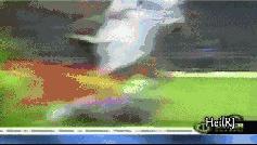 梅阿查国王阿德里亚诺低谷,阿德里亚诺重返梅阿查视频