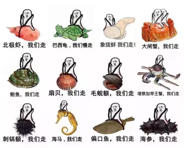 闹元宵猜灯谜全部答案,闹元宵为什么要猜灯谜