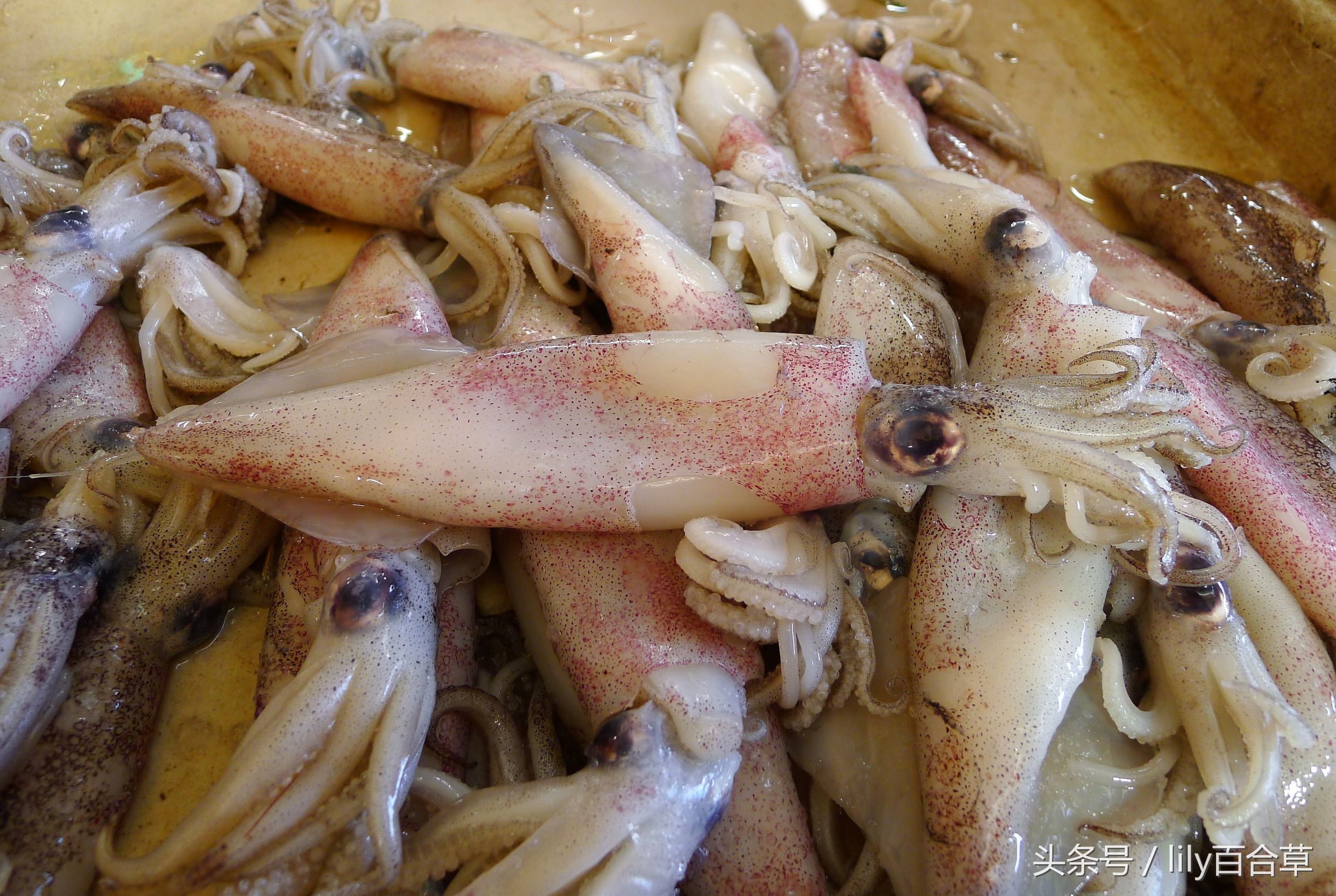 哪些海鲜可以带回家,回家路上可以带海鲜吗